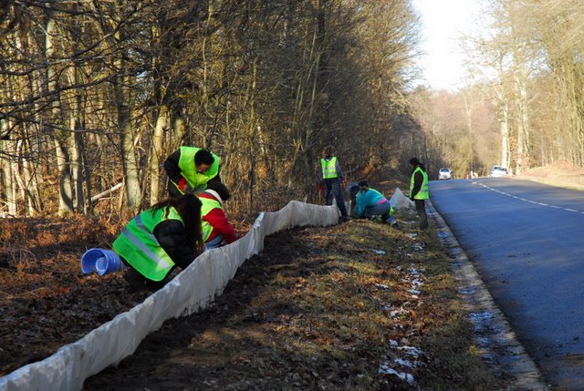 2009 Crapaudrome de Guiperreux 17
